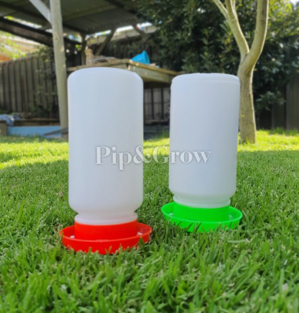 Chick Waterer - Image 3