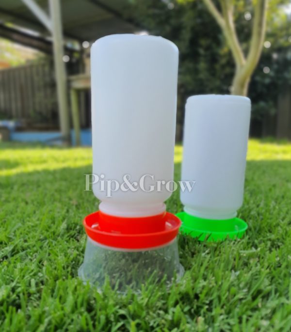 Chick Waterer - Image 6