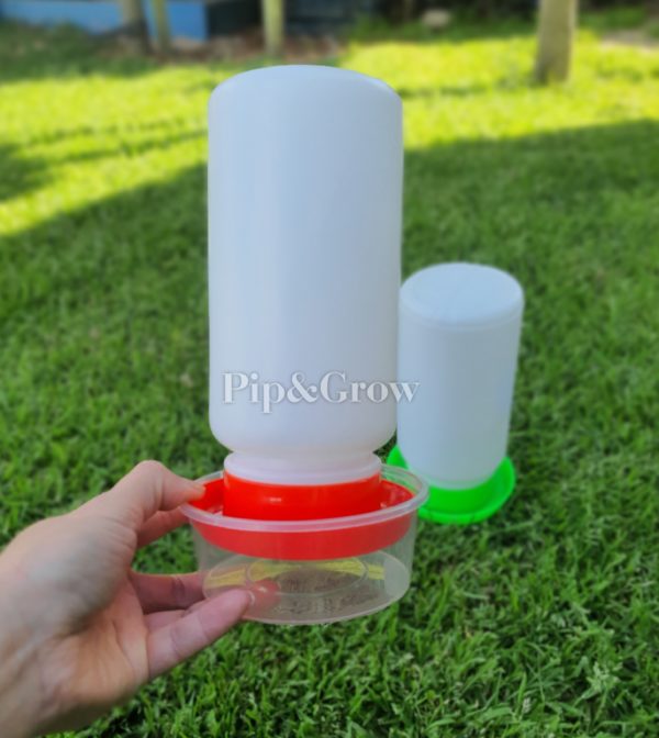 Chick Waterer - Image 7