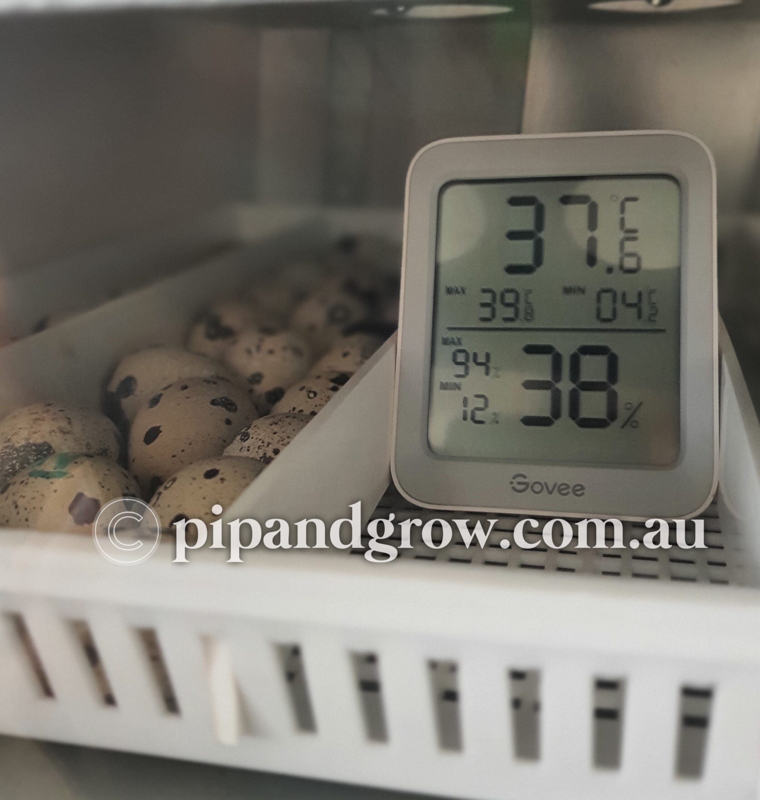 Power outage during incubation