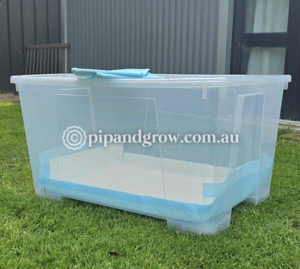 Brooder Box Large