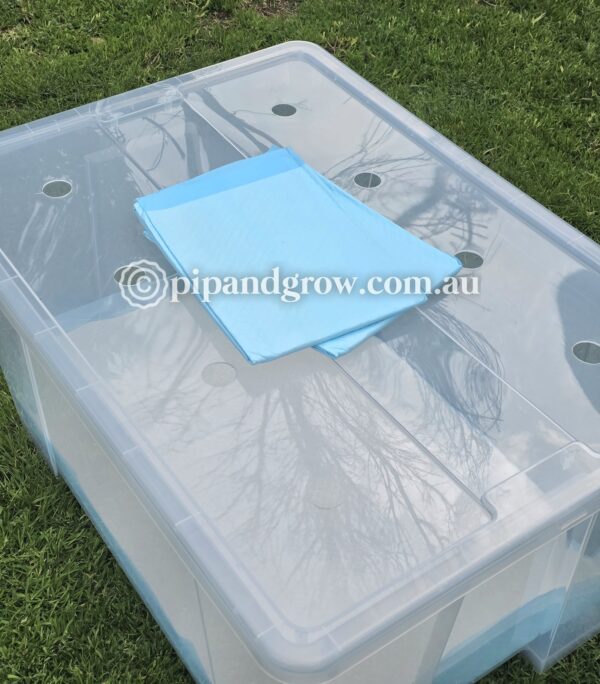 Brooder Box Large - Image 2