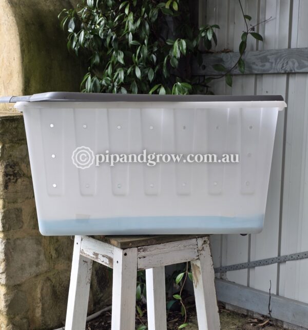 Brooder Box Medium *2nd hand* - Image 4