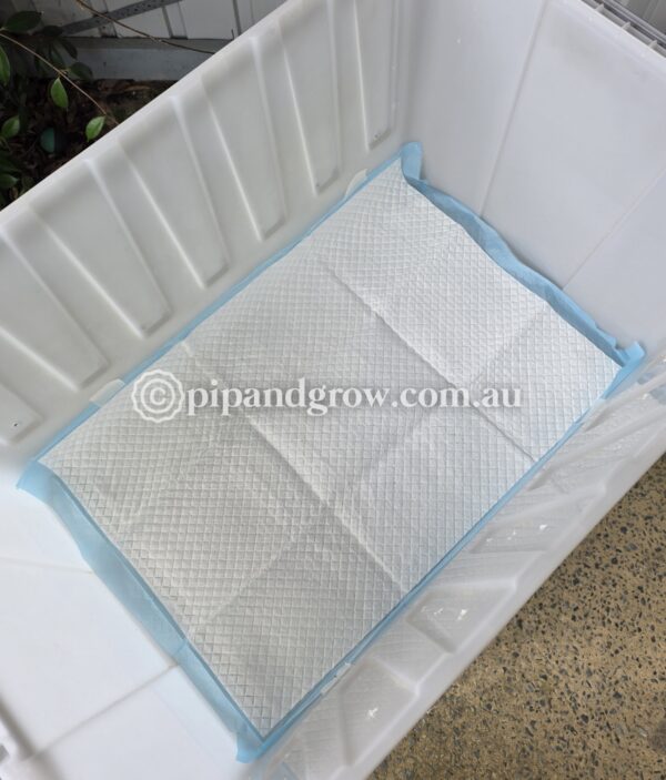 Brooder Box Medium *2nd hand* - Image 3