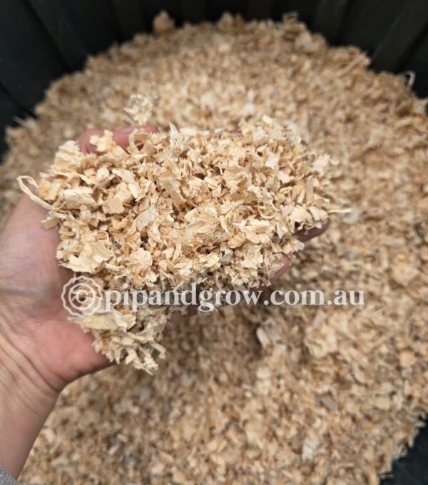 Wood Shaving - Image 2