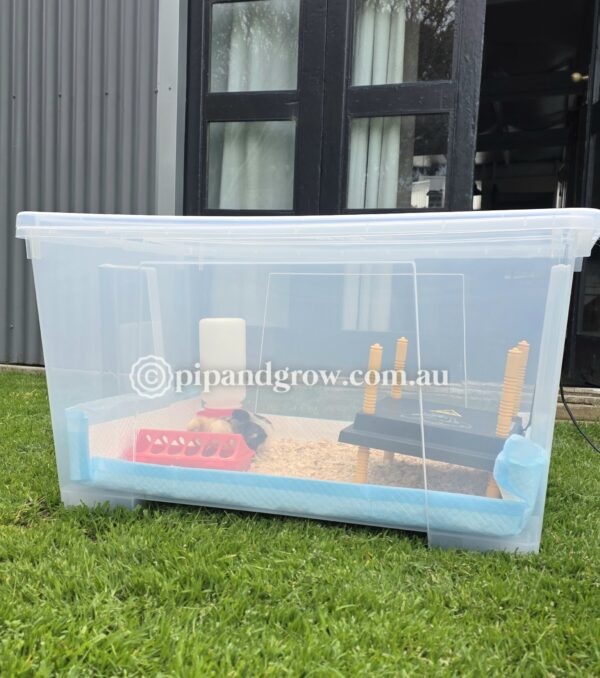 Brooder Box Large - Image 4
