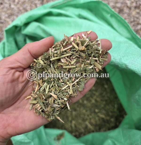 Lucerne chaff - Image 2