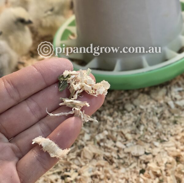 Lucerne chaff - Image 3