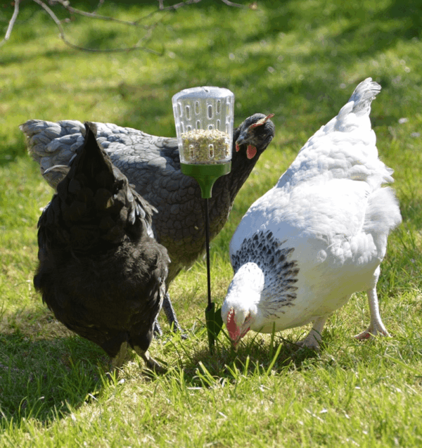 Omlet Poppy Peck Toy - Image 3
