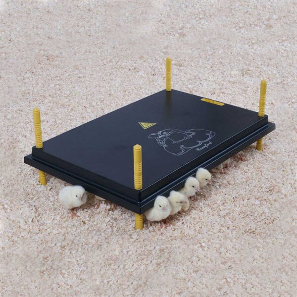 Brooder Heat Plate - Image 4