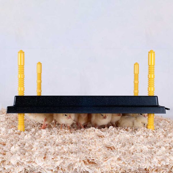 Brooder Heat Plate - Image 2