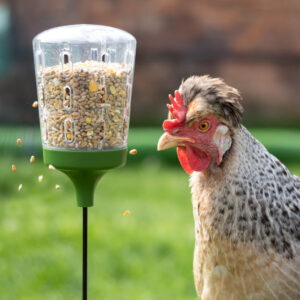 Omlet Poppy Peck Toy
