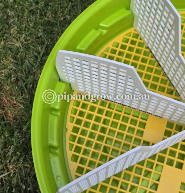 Greatlander Offspring Hatching Divider - Image 4