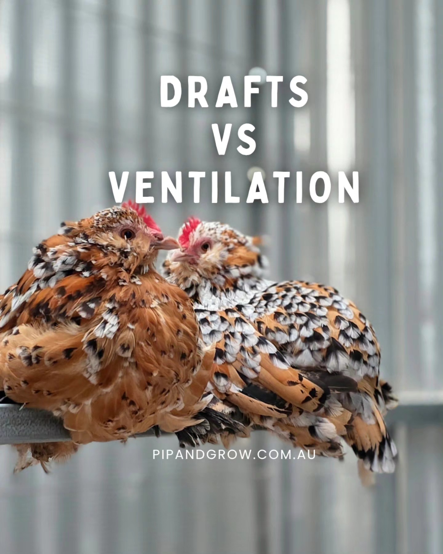 Draft VS Ventilation