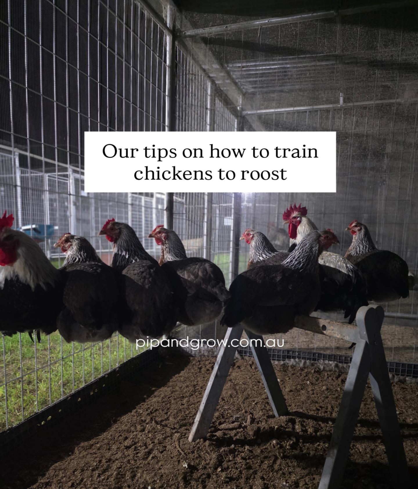 Roost Training A-Z